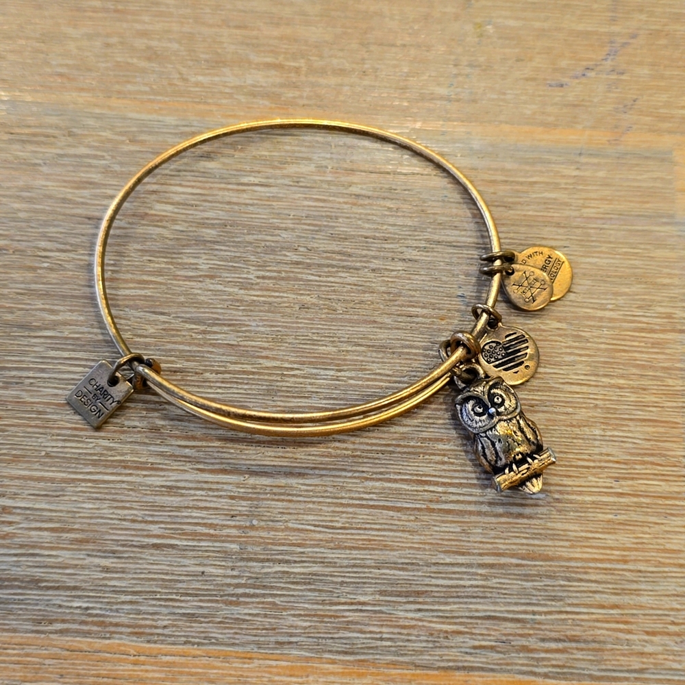 Owl Alex and Ani Bracelet